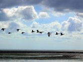 The impact of migration