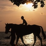 Horse-riding on Batu Feringghi beach.