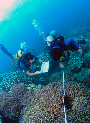 Members of Reef Check Malaysia conducting a survey (pic courtesy of Reef Check Malaysia)