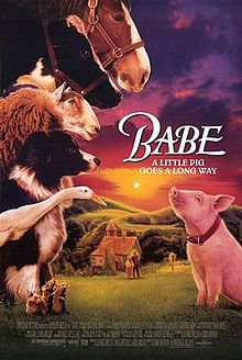 The film Babe, about a little pig who wanted to be a sheepdog
