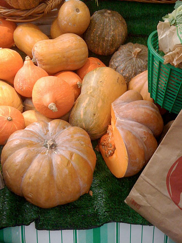 Organic pumpkins (© Robert Smith | Flickr)