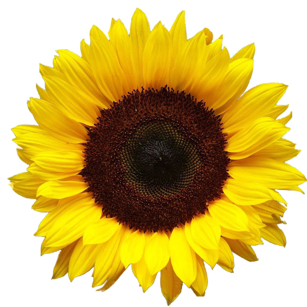 The Nut Graph’s 2013 Merdeka Awards - The Nut Graph